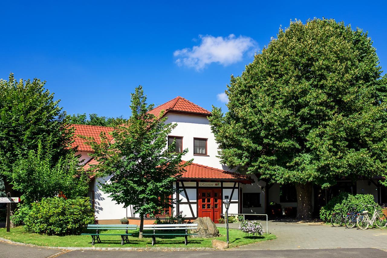 Hotel & Restaurant Lindengarten Lübben Exteriér fotografie